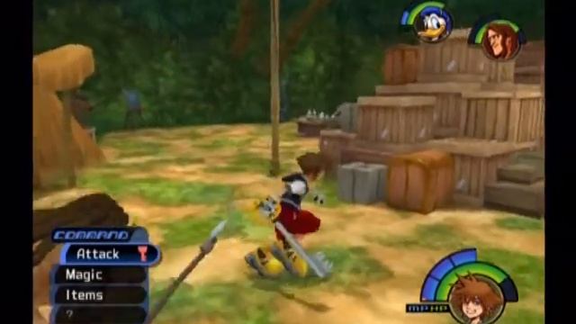 Kingdom Hearts 028 - Amber's Got This - Phailaenopsis смотреть онлайн