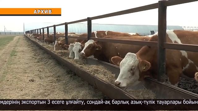 АӨК саласында 1,7 мыңнан аса инвестициялық жобаны іске асыру жоспарлануда смотреть онлайн
