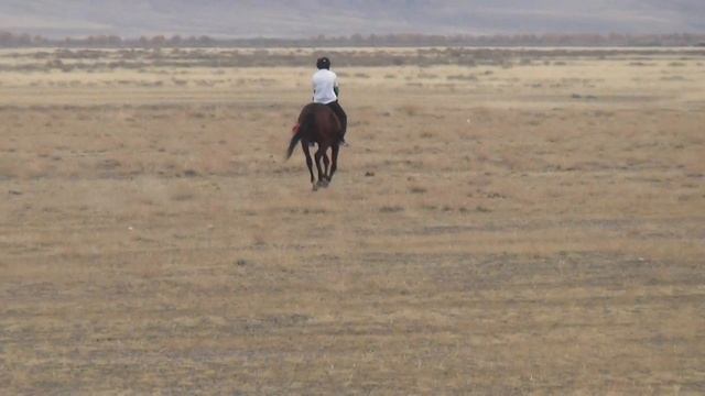 00391 смотреть онлайн