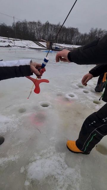 Поимки на поставушки смотреть онлайн