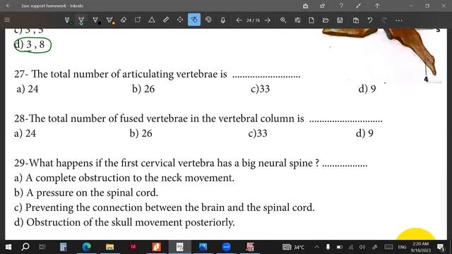 axial skeleton homework for 3sec смотреть онлайн