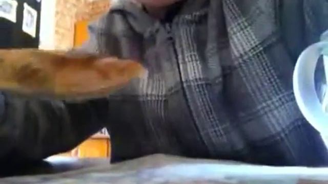 Вызов принят: съесть чайную ложку корицы смотреть онлайн