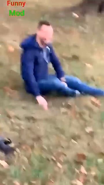 Hilarious Animal Antics 😂😂😂#funny #shorts