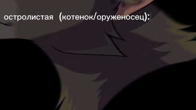 Коты-воители. Остролистая тогда, и Остролистая тогда. смотреть онлайн