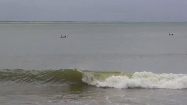 Dylan Kelly DMCfins смотреть онлайн