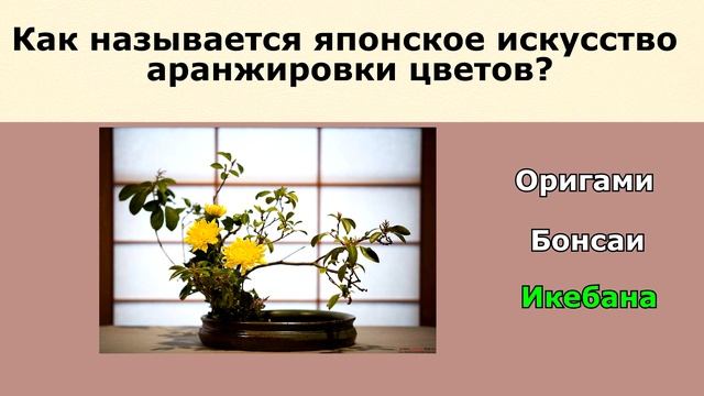 Тест "Качай эрудицию" пройдут только знатоки. Проверьте хороши ли Ваши знания смотреть онлайн