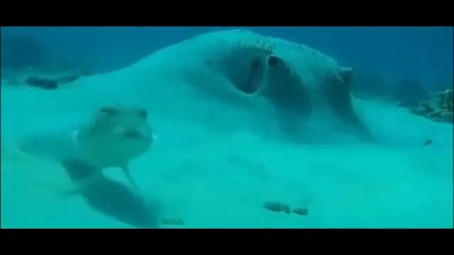 Мем | Рыба говорит: 