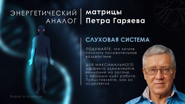 Слуховая система | мягкий аналог матрицы Петра Гаряева