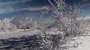 Наедине со своими интеллектуальными выдумками