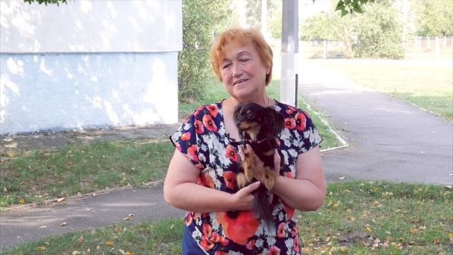 Адвантікс - Досвід застосування смотреть онлайн