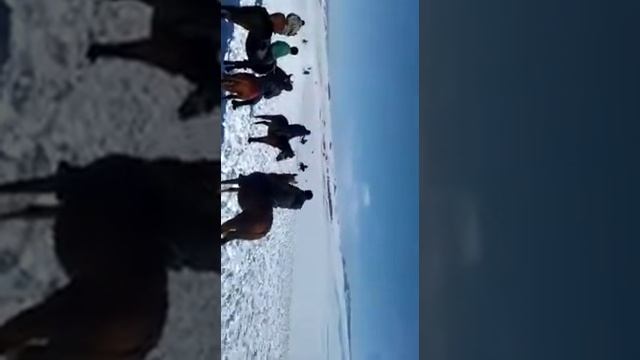 Кеген ауданы Жаланаш ауылы смотреть онлайн