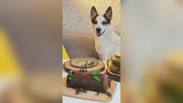 🪵🦫Сидим с бобром за столом готовим полено! Рецепт шоколадного рулета "полено". Простой рулет к чаю смотреть онлайн