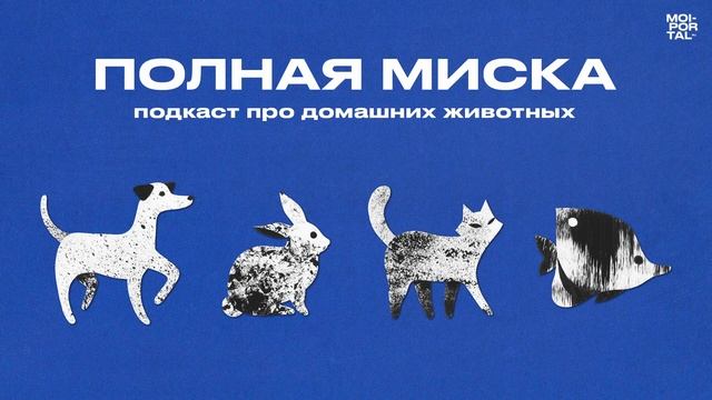 Полная миска | Пора на стрижку смотреть онлайн