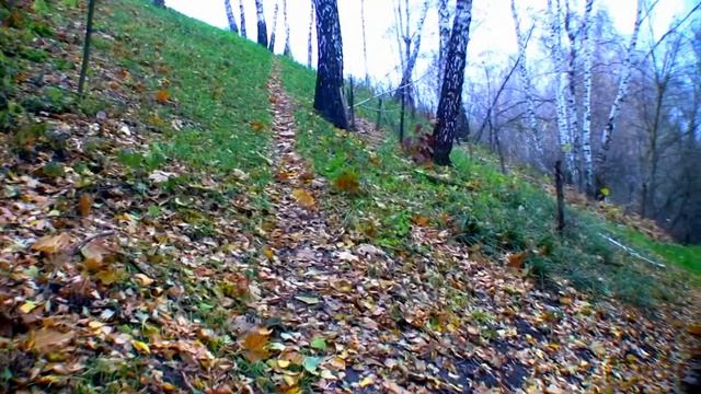 SteadiKit RADAR supertest 001 смотреть онлайн