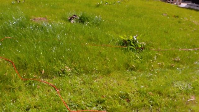 Lawncare Made Easy: Conquering My Garden with the Bosch Rotak 34 смотреть онлайн