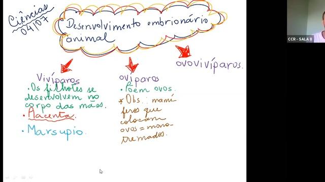 8º ANO A - CIÊNCIAS (04/08) смотреть онлайн