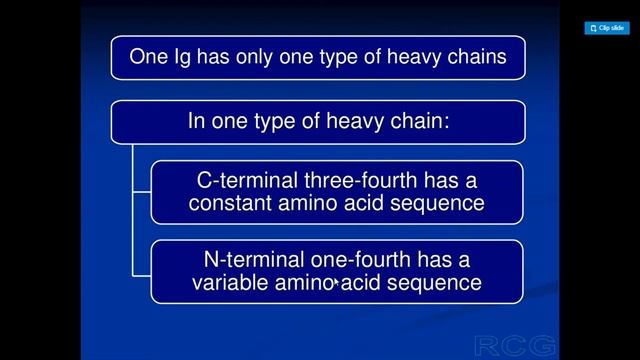Lymphocytes and Antibodies |Immunology| Study Guide смотреть онлайн