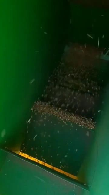 Калибровка пшеницы ) смотреть онлайн