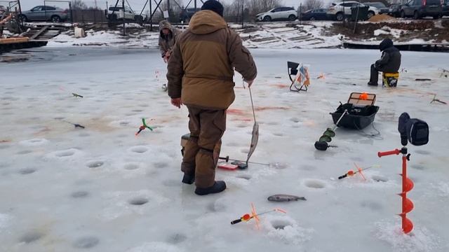 26-01-2025 смотреть онлайн