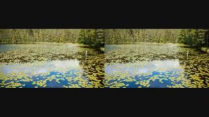 Стереопары 1