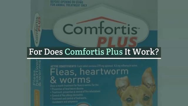 Comfortis V/S Comfortis Plus For Dogs | Which Is The Better Product | DiscountPetCare смотреть онлайн
