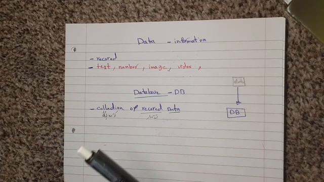 What is Data and Database? смотреть онлайн