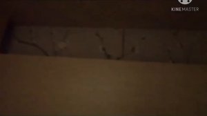 5 ночей с игрушками