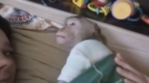 Та ещё парочка 2019