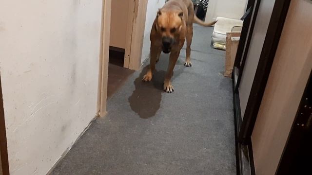 Чуть чуть валяем дурака🤭 смотреть онлайн