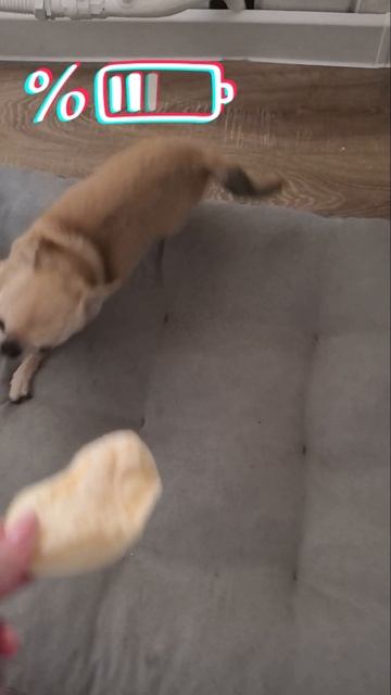 Чишка на батарейках 😁