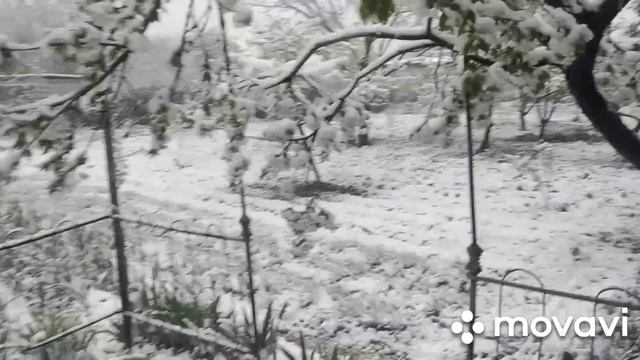 САЙРАМ✓ Апрельский СЮРПРИЗ!!! смотреть онлайн