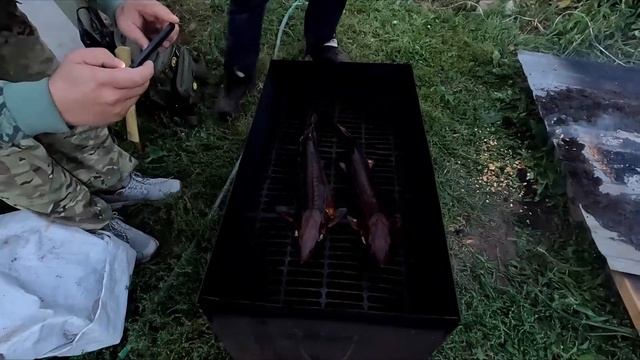Стерлядь горячего копчения. смотреть онлайн