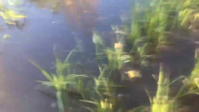 26 апреля 2024 г.