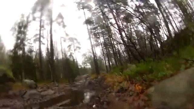 Sunday mud ride with SCX10 Dingo смотреть онлайн