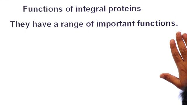 The Fluid Mosaic Model of Cell Membrane (In Sindhi) / Sum academy online classes / Fr. Yr. Biology смотреть онлайн