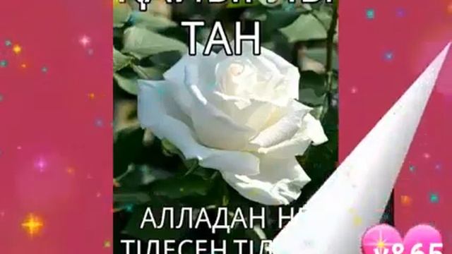 Кайырлы тан Сержан смотреть онлайн