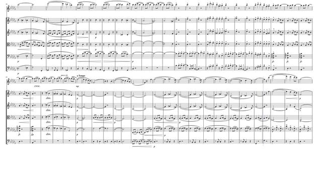 Trio from "Serenade for Strings" (Op. 22 B. 52 No. 2a) for Flute & Strings смотреть онлайн