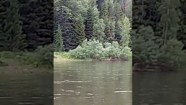 Сплав по Мане смотреть онлайн