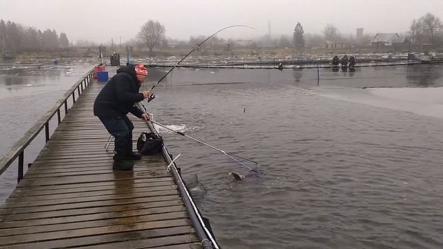 Vip участок ! смотреть онлайн