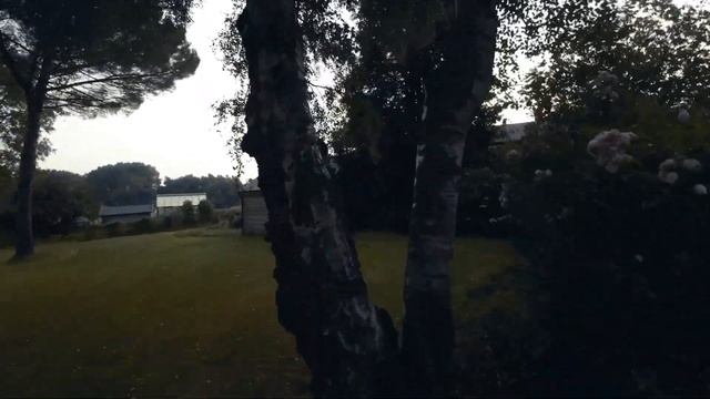 BetaFPV Pavo Pico FPV Drone (sub 100g) - Outdoor