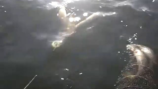 6 следующий день смотреть онлайн