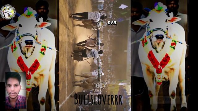 ధీర ఎలా చనిపోయింది అంటె...Full video 🥀😭😭#dvr#dheera #explore смотреть онлайн