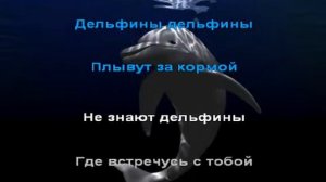 Караоке для детей Дельфины