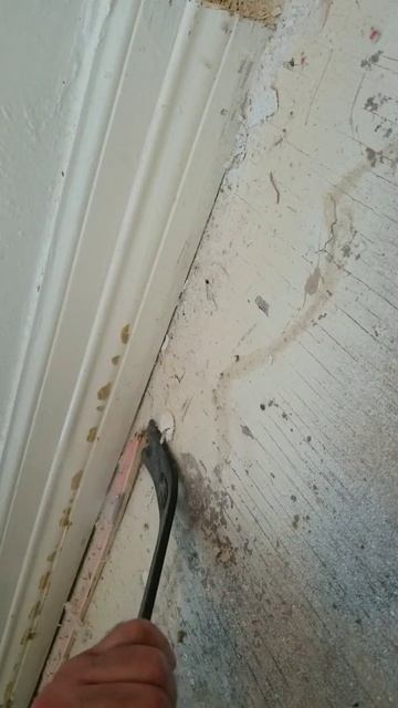 How to Remove Carpet Tack Strips (ready for laminate flooring) #shorts #diy #youtubeshorts смотреть онлайн