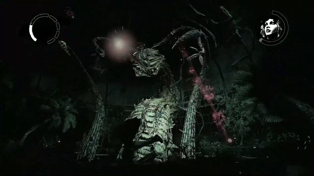 Batman Arkham Asylum: Finale смотреть онлайн