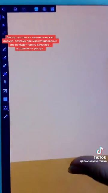 В чем разница между растровой и векторной графикой?