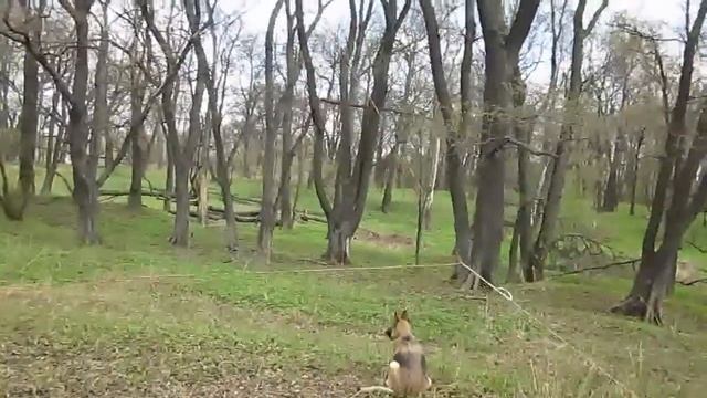 дельта 20 запитка в нижний угол смотреть онлайн