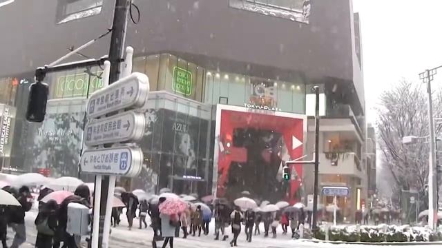 20 БЕЗУМНЫХ ФАКТОВ О ЯПОНИИ