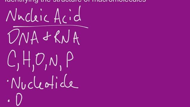 Identifying Macromolecules смотреть онлайн