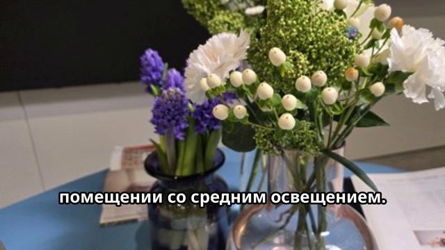 Samsung Galaxy S25 Ultra: примеры фото!📸 GAMMETS #Samsung #Galaxy #фотография #обзор #new #news